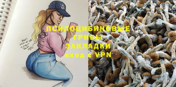 дживик Каменка