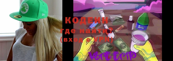 дживик Каменка