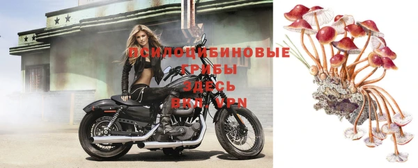 дживик Каменка