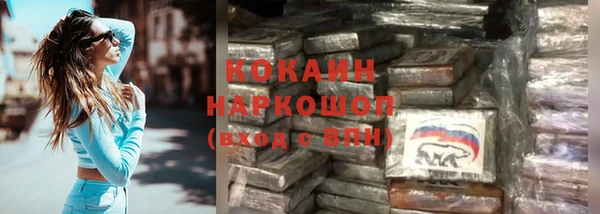 дживик Каменка